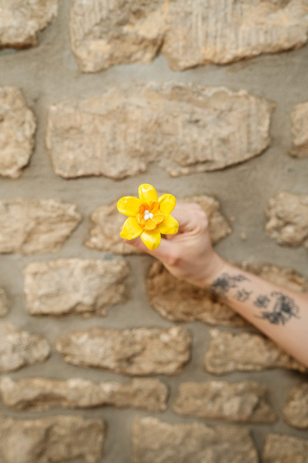 theglassflorist Single Statement Daffodil Stem