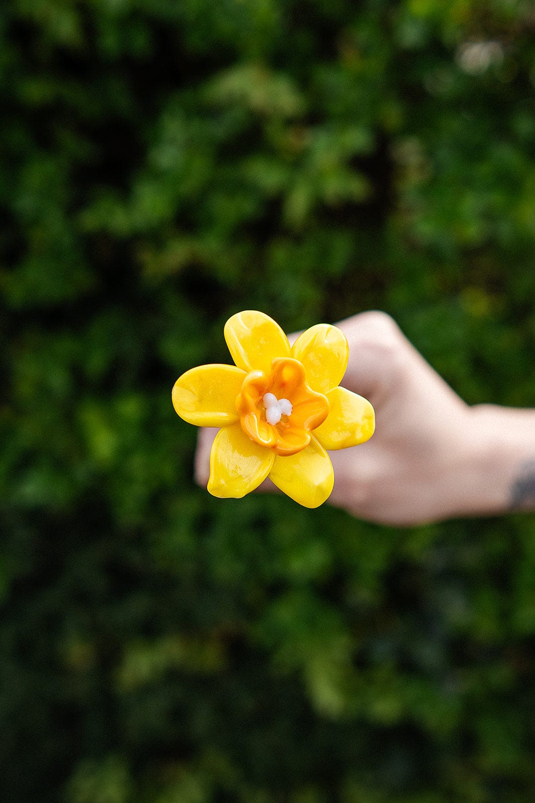 theglassflorist Single Statement Daffodil Stem