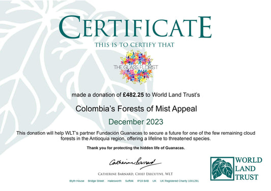 theglassflorist The Murano Bouquet