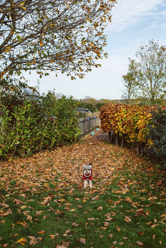 theglassflorist The Wildflower Sweater