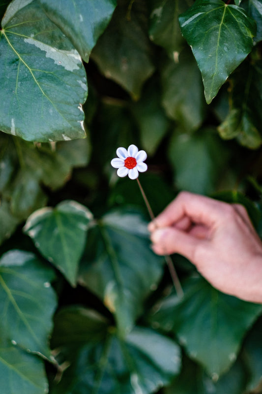 theglassflorist Individual Glass Deluxe Daisy Stems