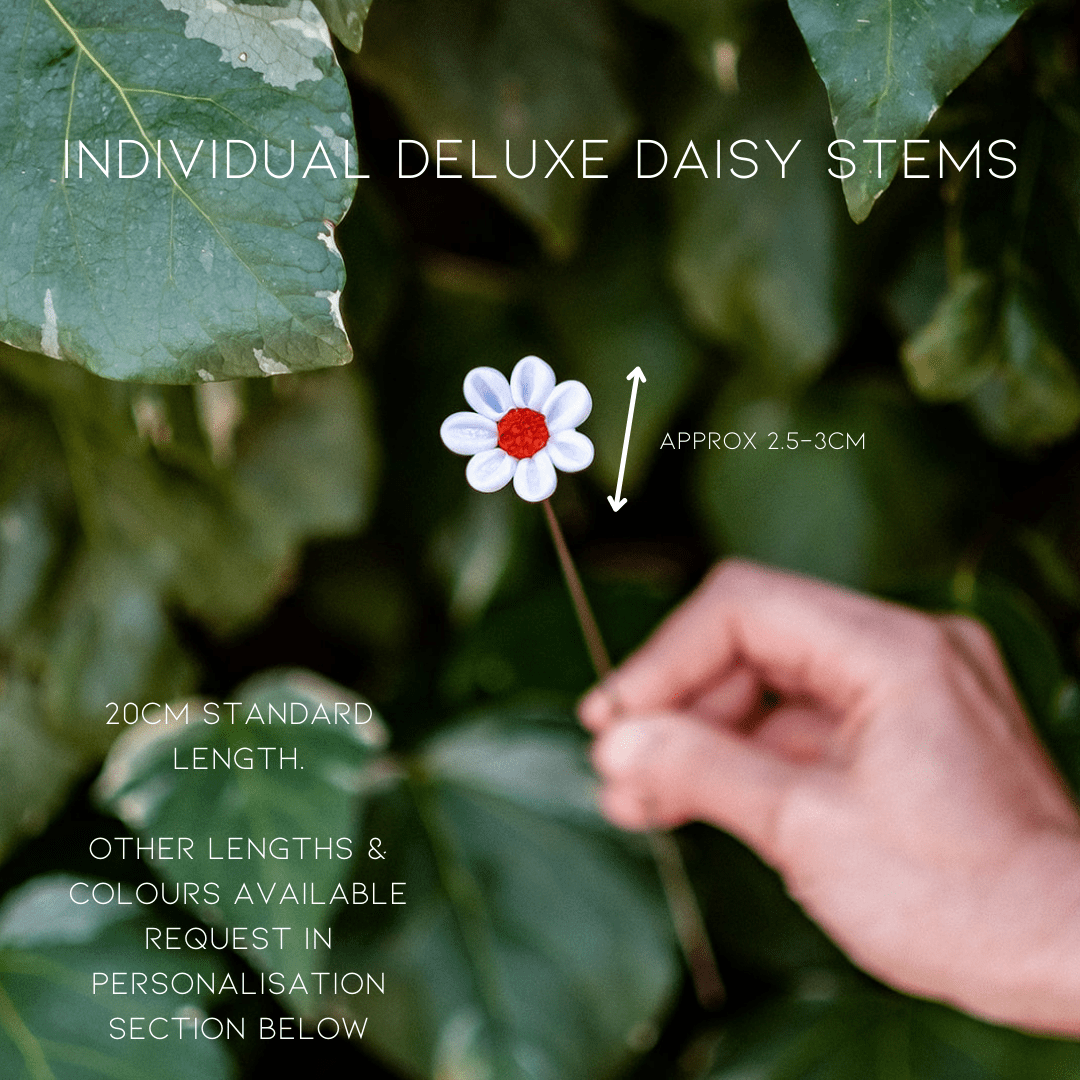theglassflorist Individual Glass Deluxe Daisy Stems