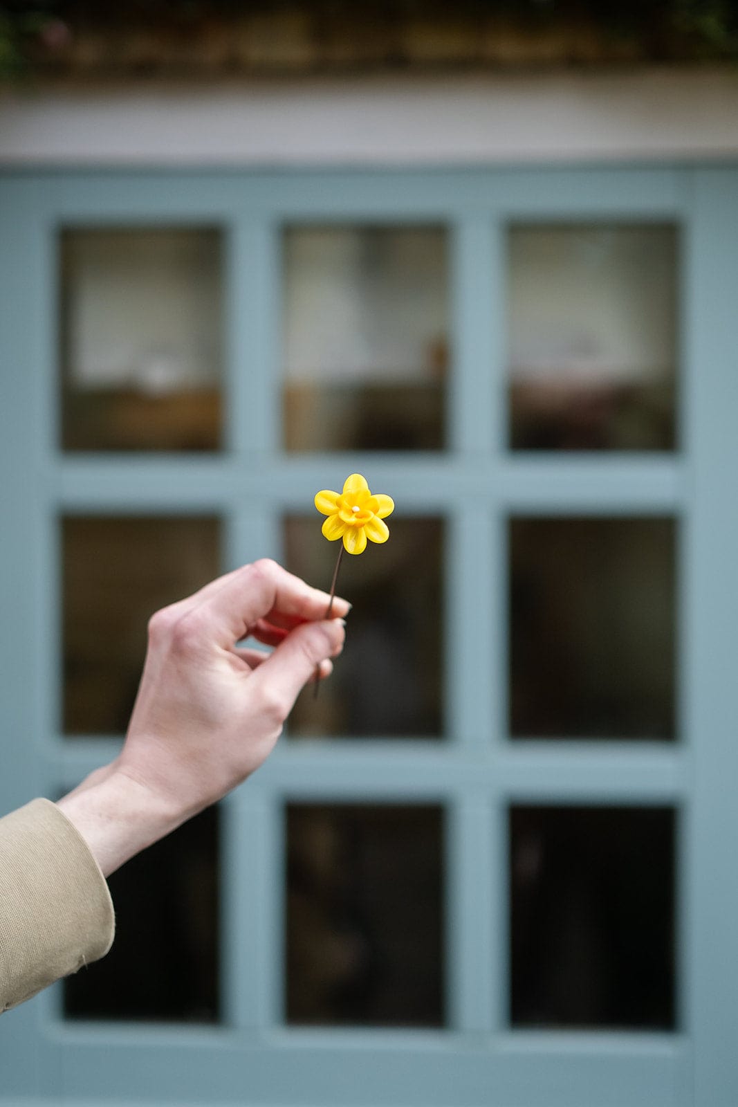 theglassflorist Individual Daffodil