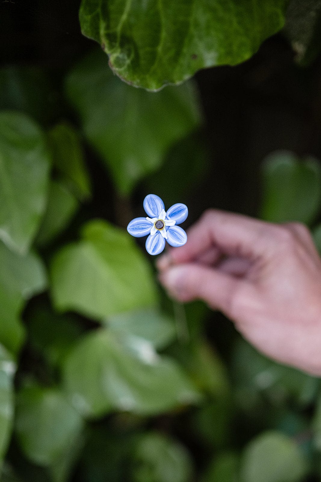 theglassflorist Individual Forget-me-not Stem