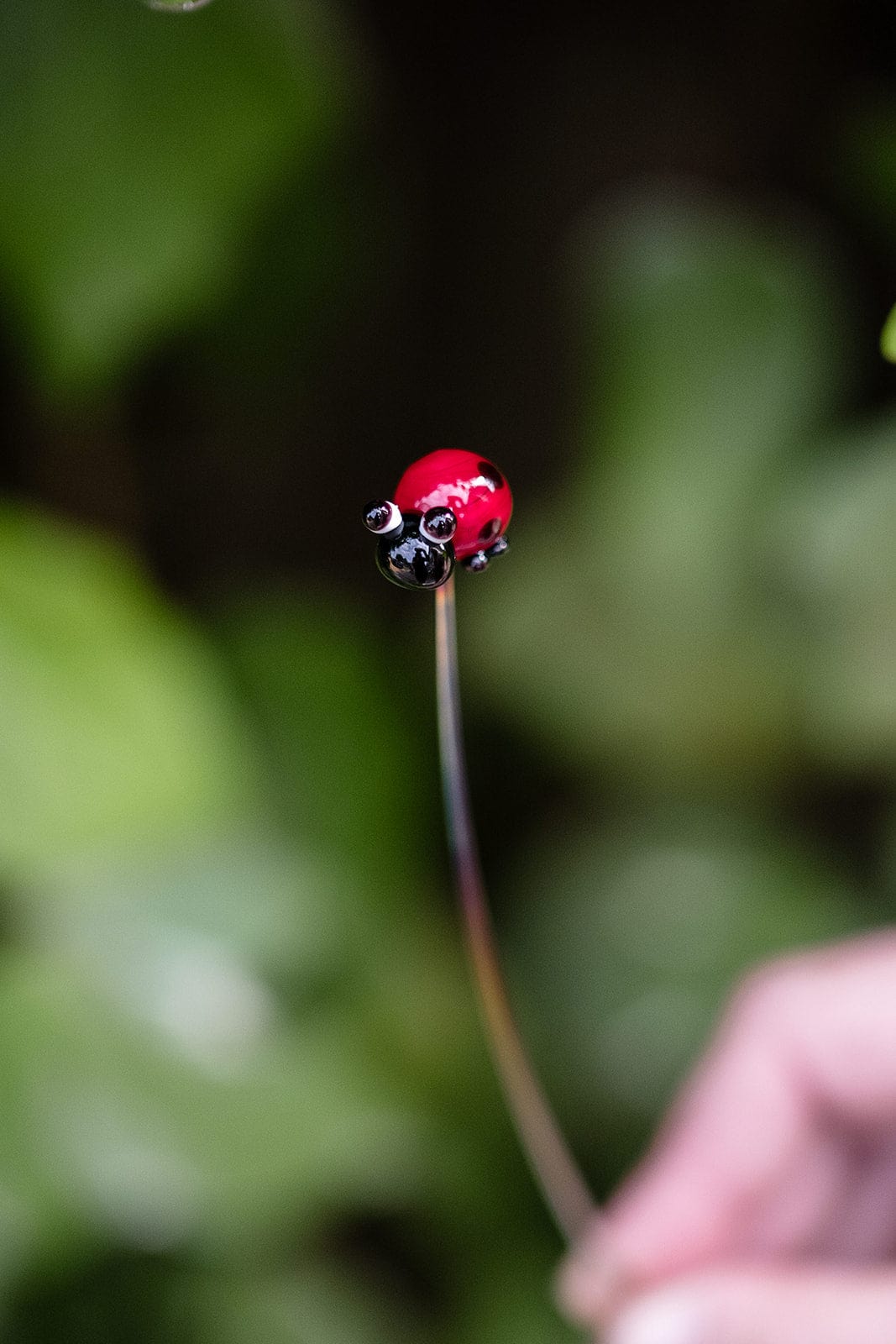 theglassflorist Individual Ladybird Stem