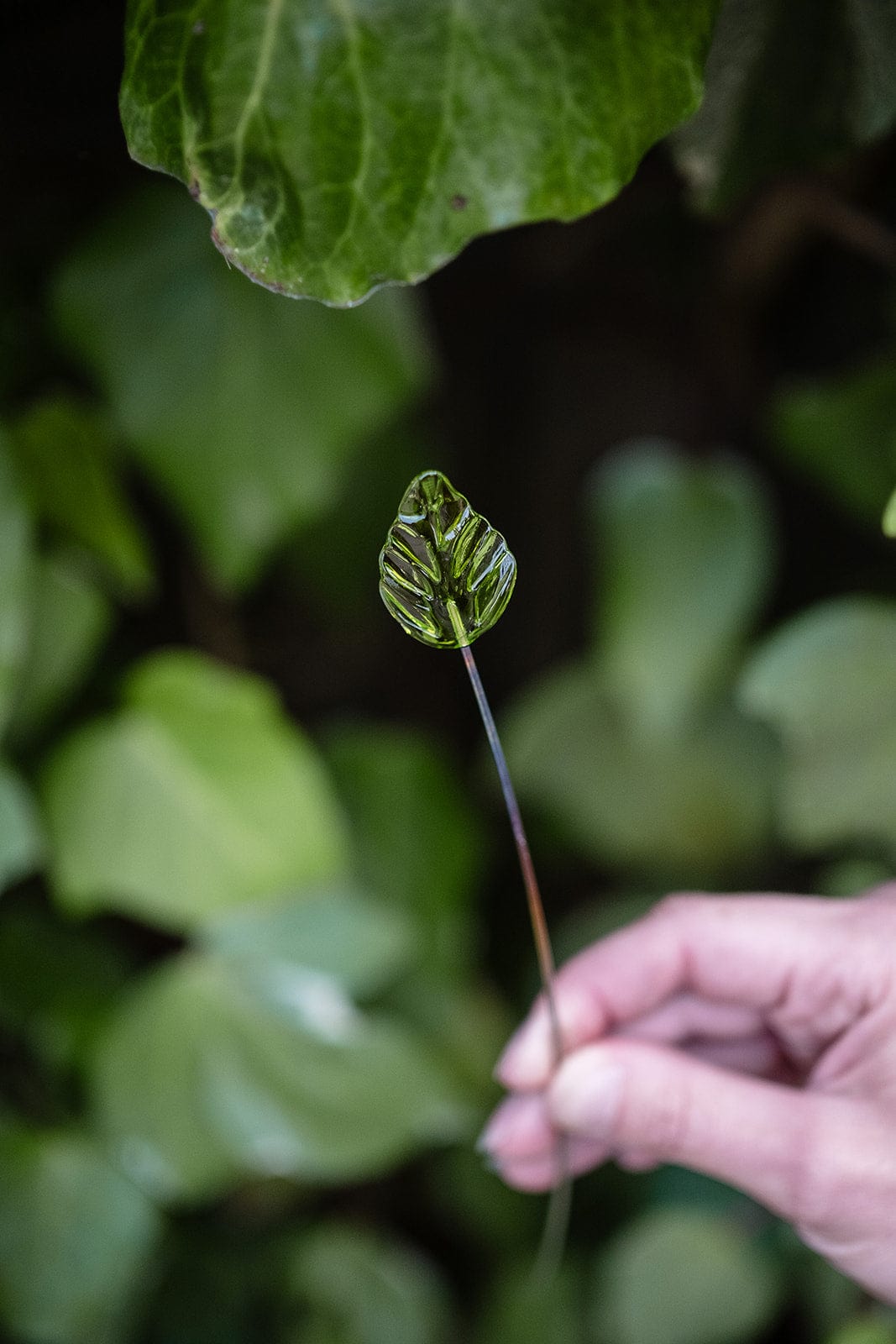 theglassflorist Individual Leaf Stem