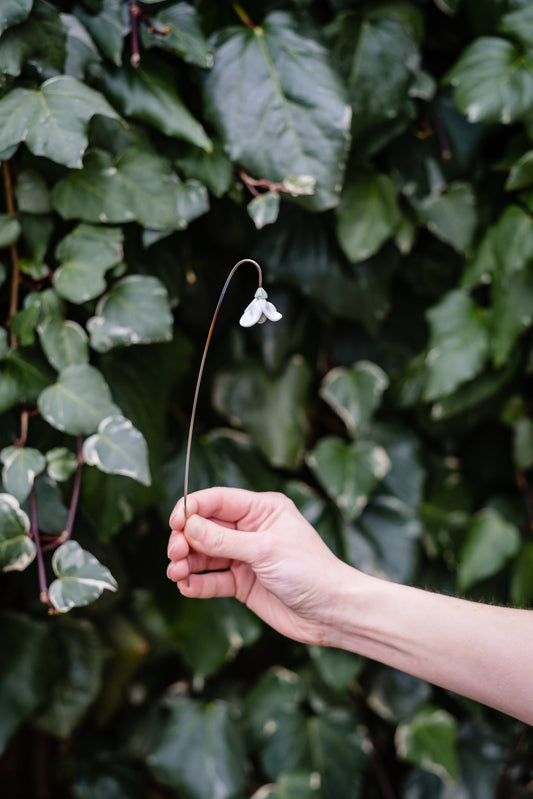 theglassflorist January Snowdrop