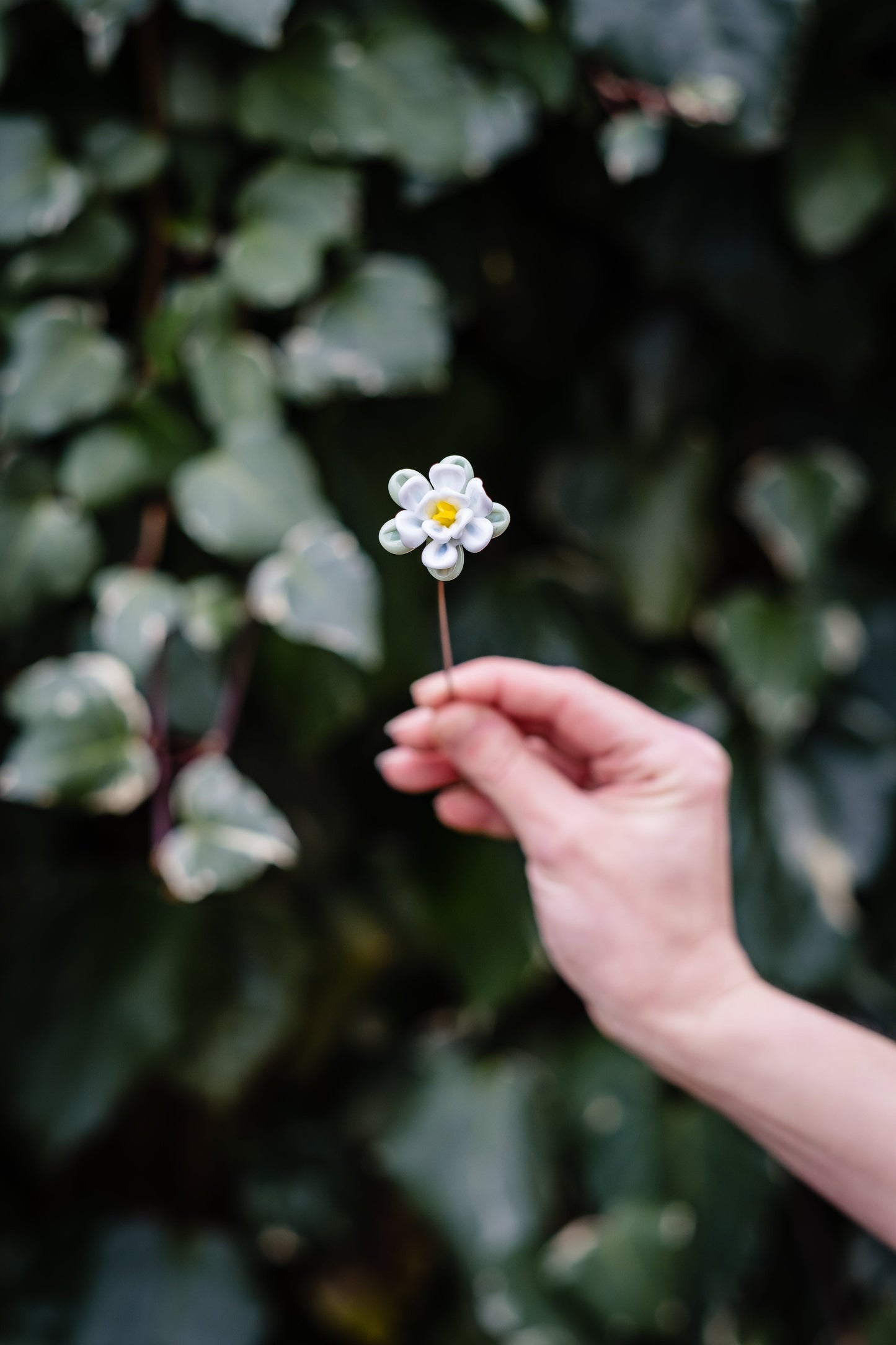 theglassflorist July Water Lily