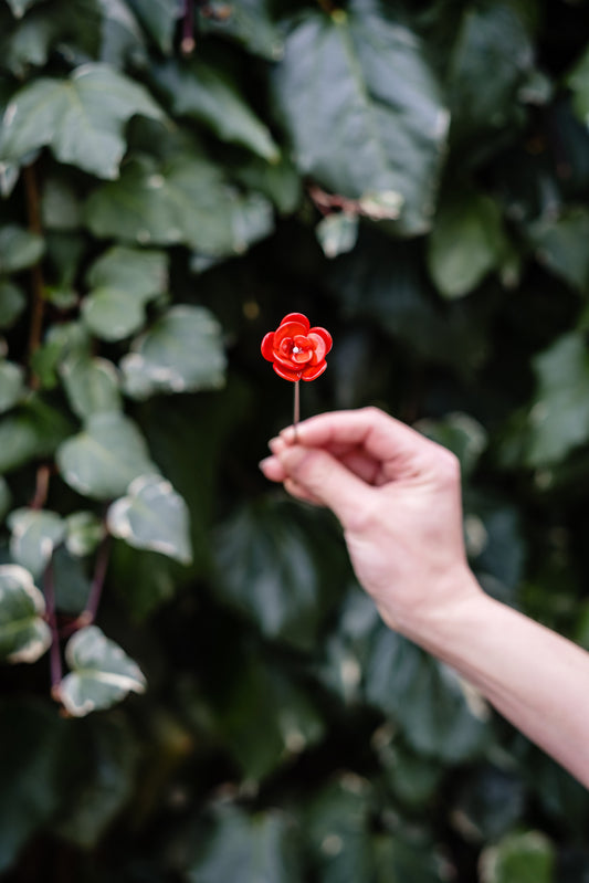 theglassflorist June Rose