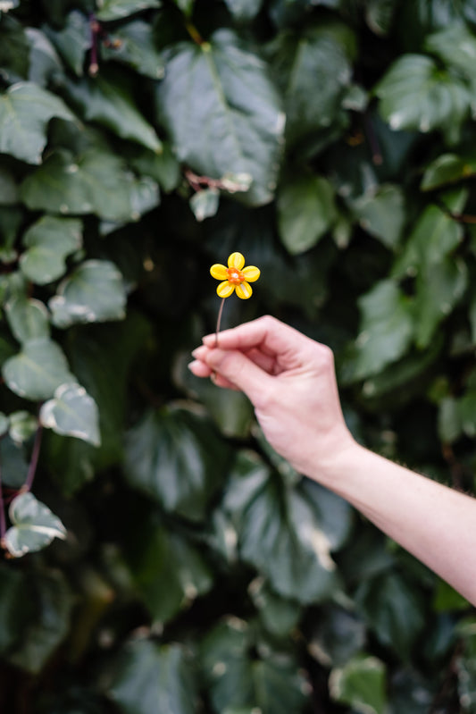 theglassflorist March Daffodil