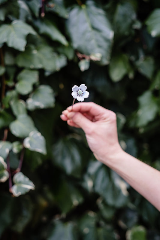 theglassflorist May Hawthorn