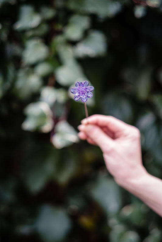 theglassflorist November Chrysanthemum