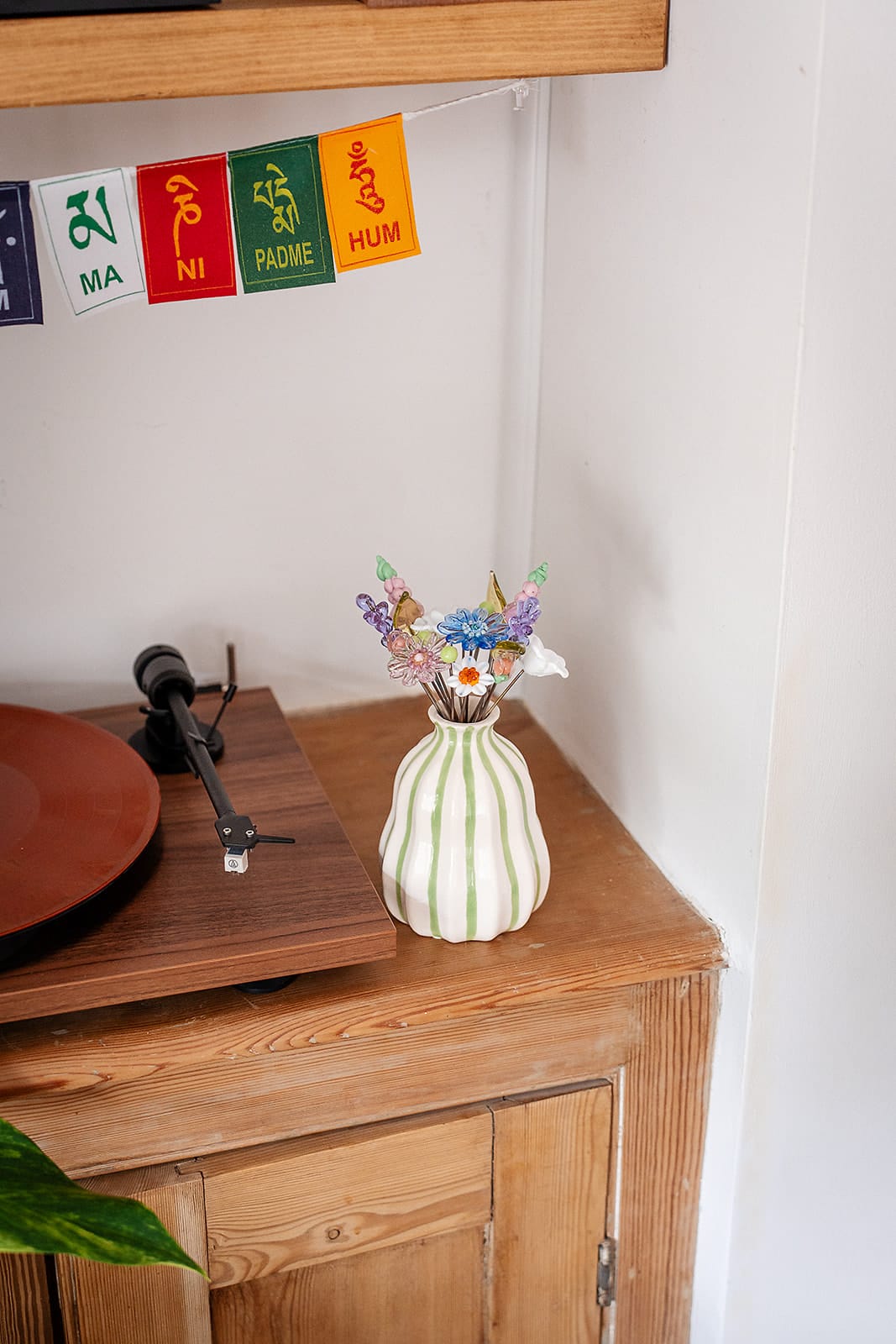 theglassflorist Stripe Sensation