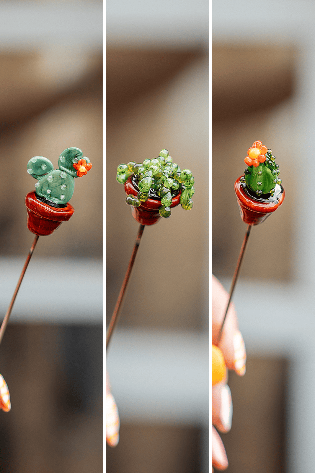 theglassflorist Super Succulent Set