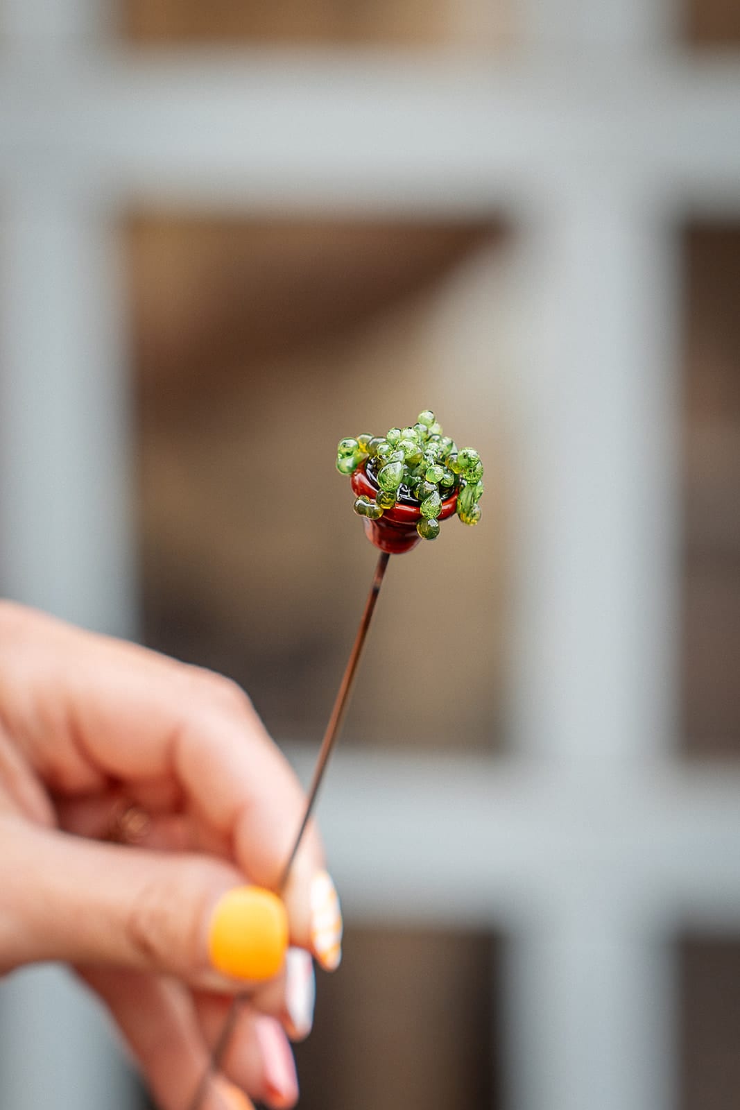 theglassflorist Super Succulent Set