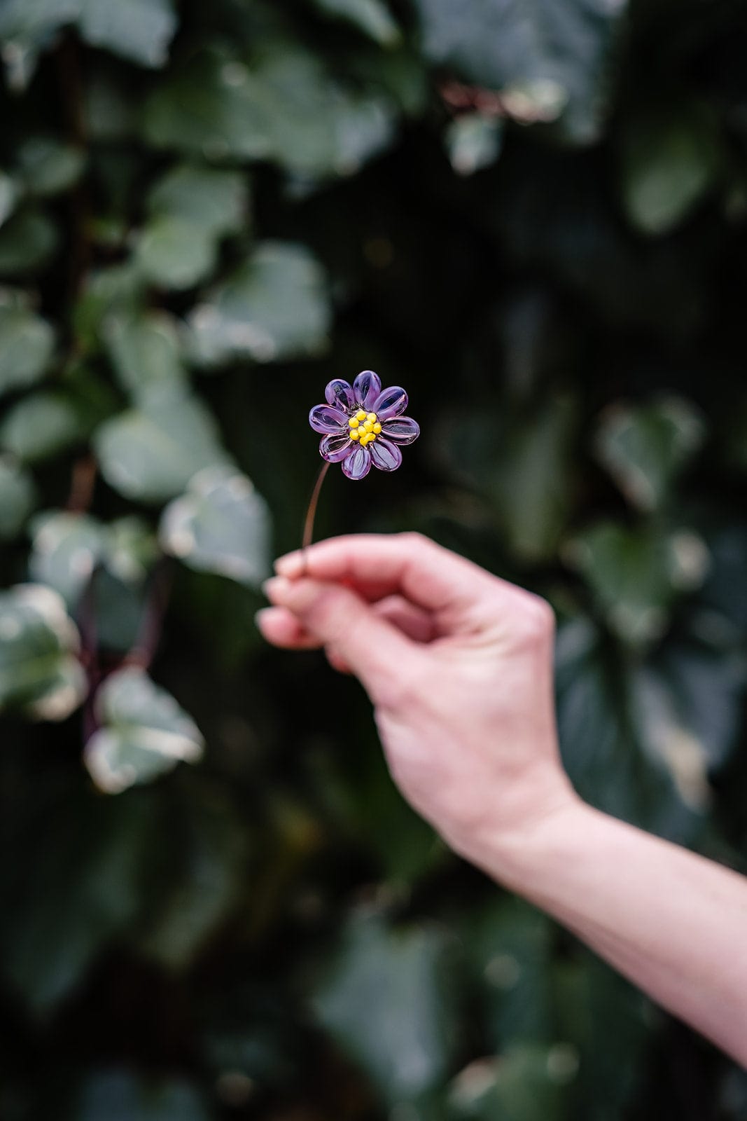 theglassflorist Individual Aster Glass Flower Stems