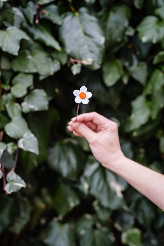 theglassflorist Individual Glass Daisy Flower Stems